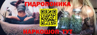 индика Балаково