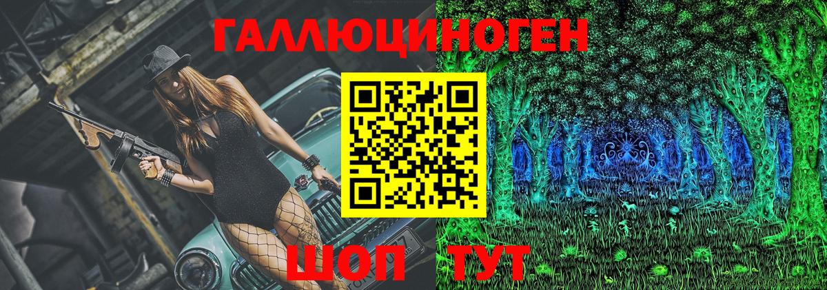 Псилоцибиновые грибы Psilocybe Дубна