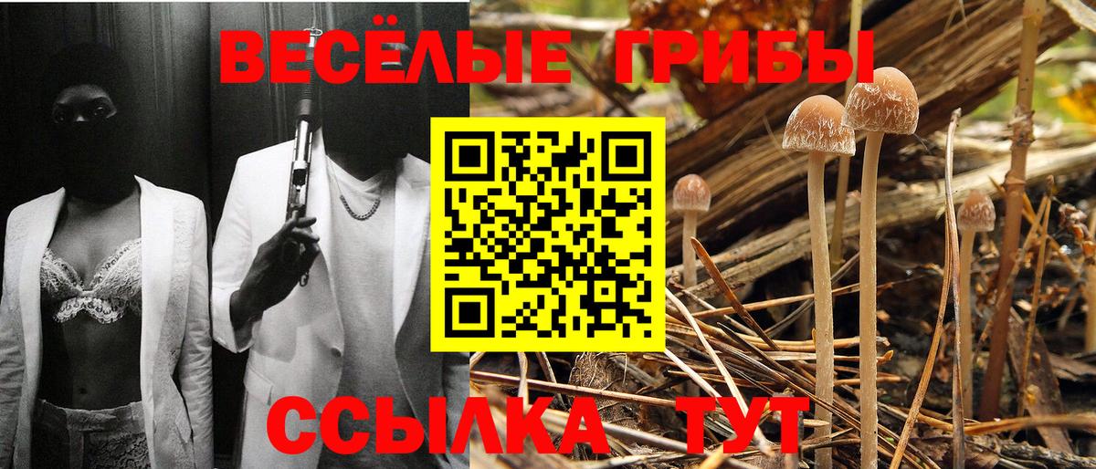 Дубна  Псилоцибиновые грибы мухоморы  Псилоцибиновые грибы Psilocybine cubensis  Вход с VPN 